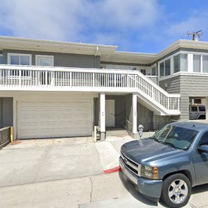 Gum Tree — Manhattan Beach